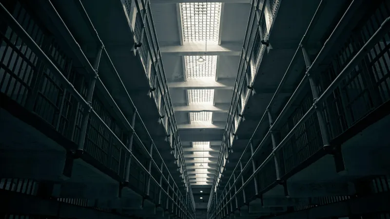You Voted Green Because They Promised To End Immigration Detention And Now Britain's Most Dangerous Foreign Criminals Have Discovered That 'Community Supervision' Means Nobody Supervises Them — The Probation Service Has Gone Into Hiding