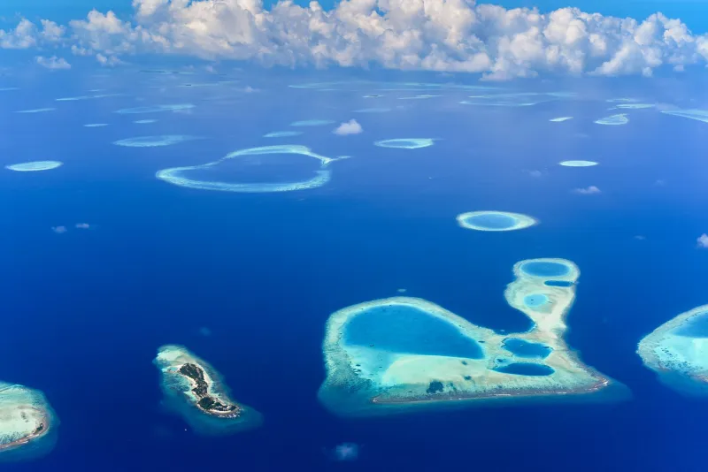 You Voted Green To Give Climate Refugees A Home And Britain Has Now Legally Adopted The Maldives — We're Also Apparently Responsible For Their Fishing Rights Dispute With India And The Treasury Has Just Found A Post-It Note That Says 'Oh No'