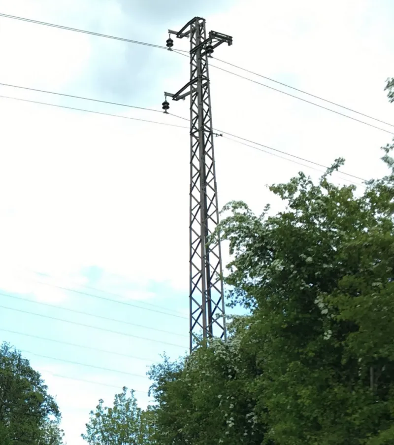 You Voted Green To Take Back Control Of Britain's Energy And Now The National Grid Is Run By A Consensus Circle In A Converted Leisure Centre In Croydon — They've Been Debating Whether To Turn The Lights Back On Since February And The Motion Has Been Tabl
